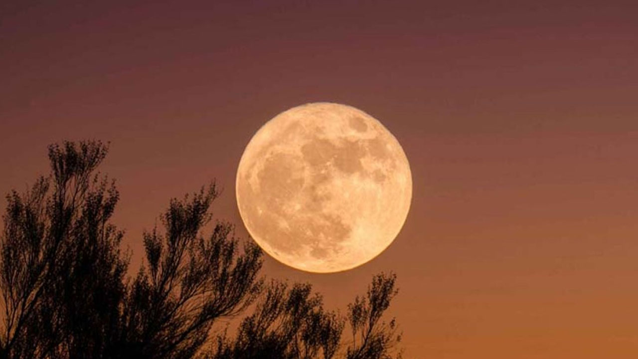 বুধবার দেখা যাবে বছরের বৃহত্তম সুপারমুন